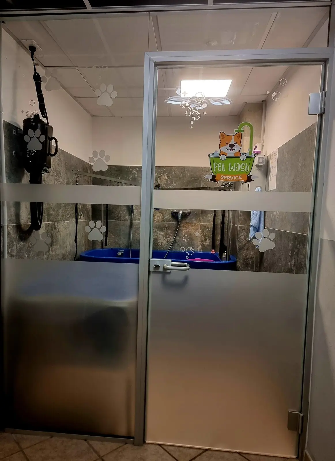 washdog cabina ingresso