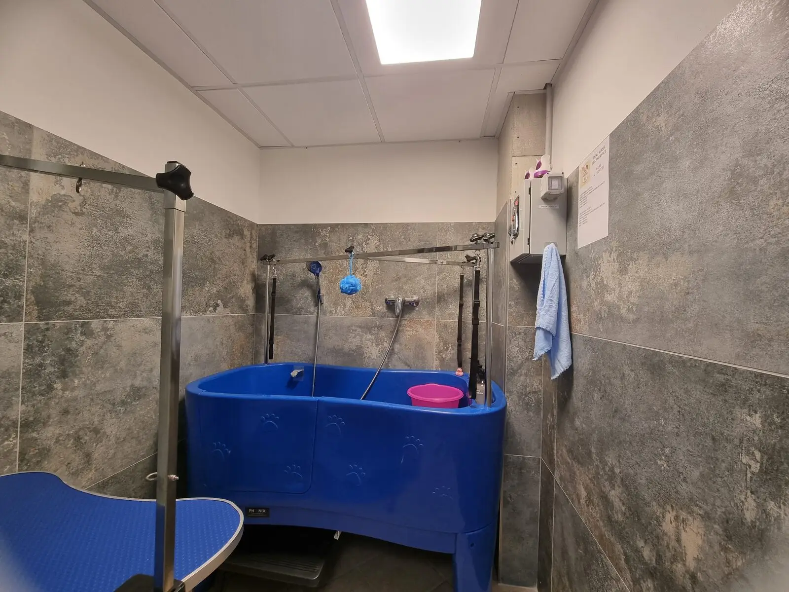 washdog vasca ambiente
